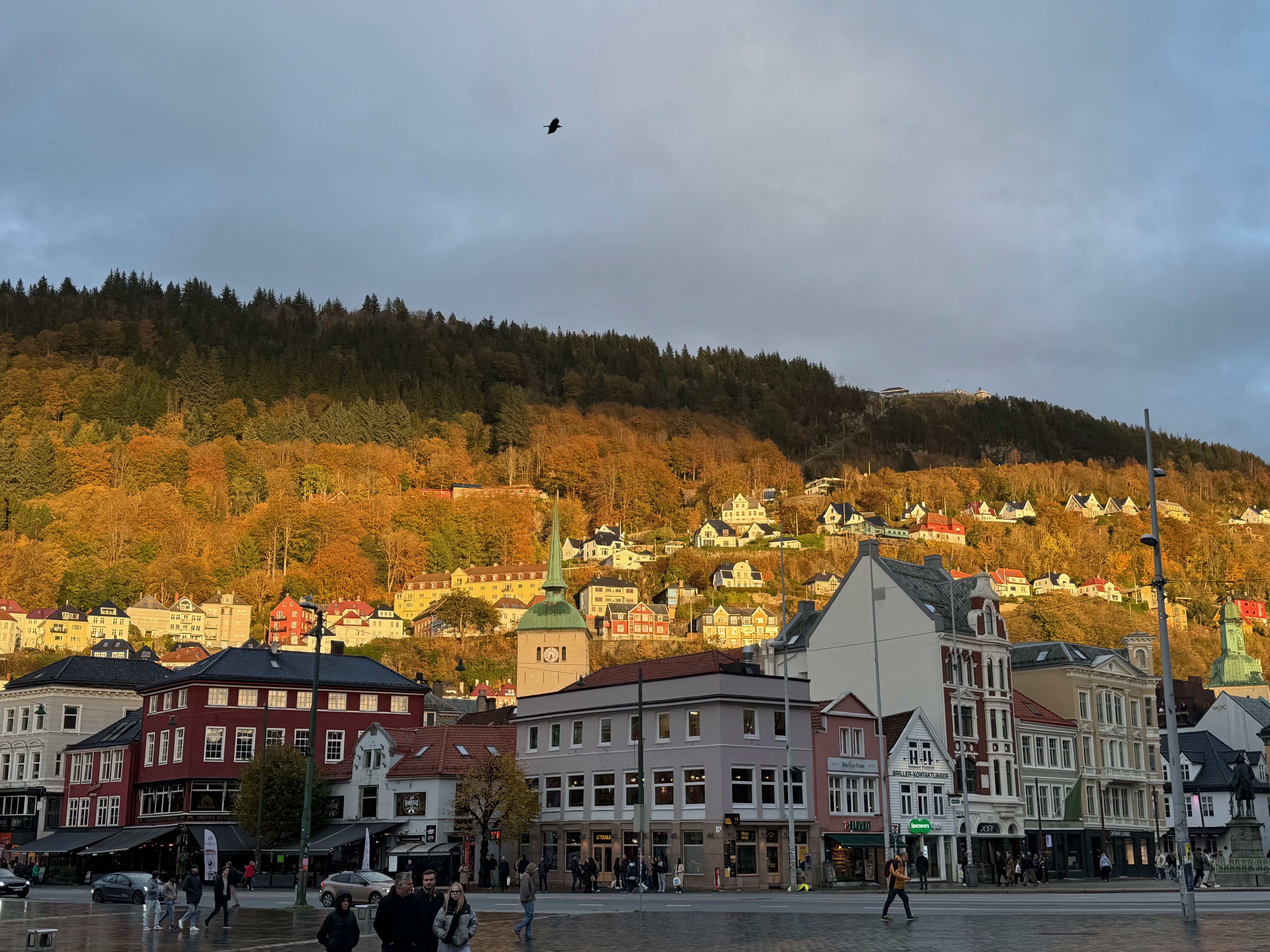 Bergen harbour